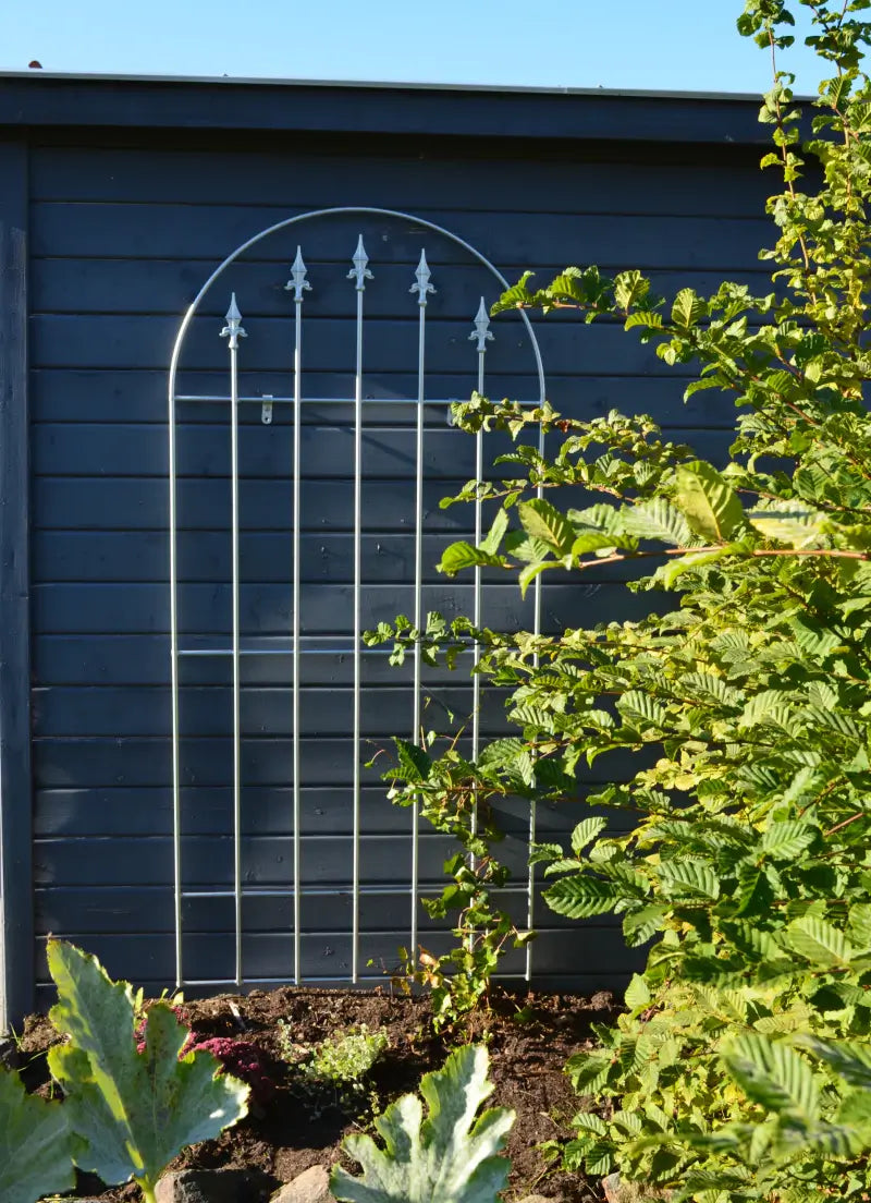 Wandgitter Edera in feuerverzinkt berankt an einer Hauswand Wandgitter Edera in feuerverzinkt berankt an einer Hauswand