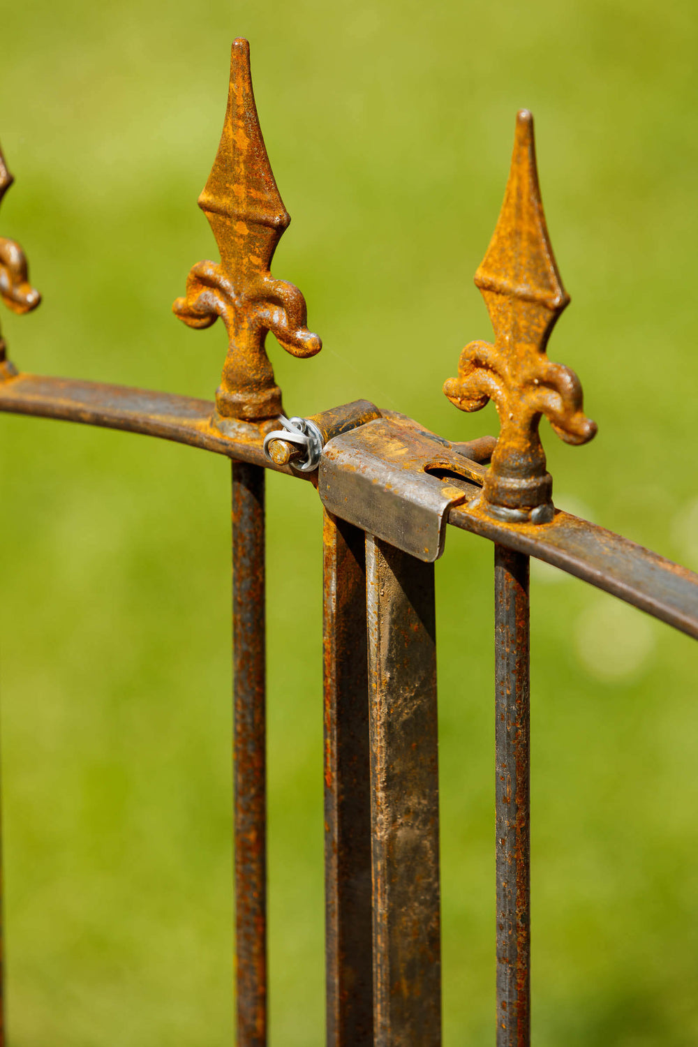 Rosenbogen Calabria mit Gartentor in Rostoptik Detailansicht Schließmechanismus Gartentor mit Kreuzlilien-Spitzen Rosenbogen Calabria mit Gartentor in Rostoptik Detailansicht Schließmechanismus Gartentor mit Kreuzlilien-Spitzen
