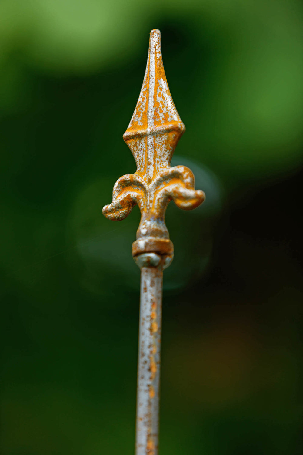 Rückwand Calabria in Rostoptik Detailansicht eine Kreuzlilien-Spitze Rückwand Calabria in Rostoptik Detailansicht eine Kreuzlilien-Spitze