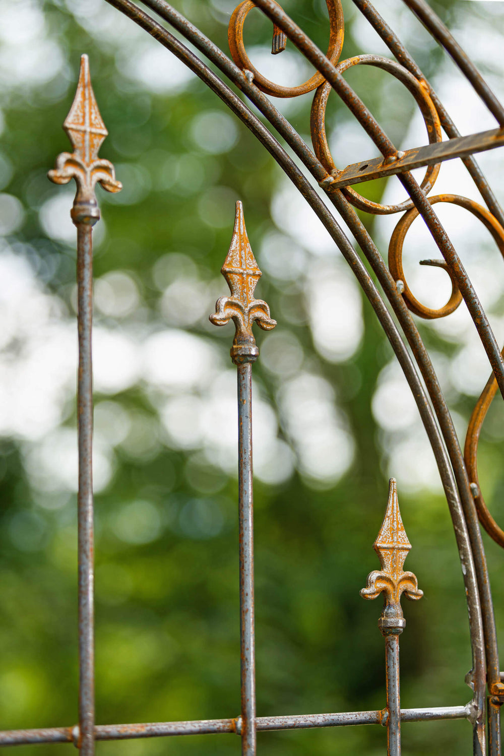 Rückwand Calabria in Rostoptik Detailansicht Kreuzlilien-Spitzen Rückwand Calabria in Rostoptik Detailansicht Kreuzlilien-Spitzen