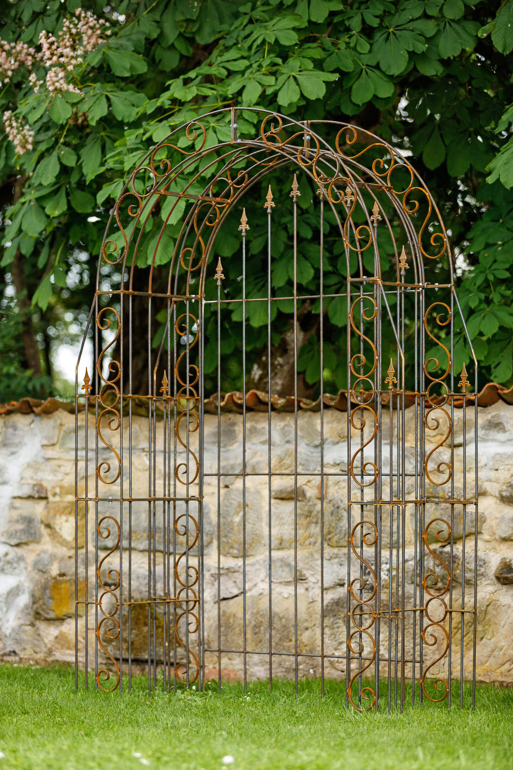 Rosenbogen Calabria mit Rückwand in Rostoptik Gesamtansicht seitlich vor Mauer und grünen Bäumen im Hintergrund Rosenbogen Calabria mit Rückwand in Rostoptik Gesamtansicht seitlich vor Mauer und grünen Bäumen im Hintergrund