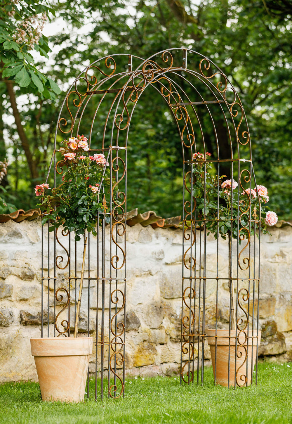 Stabiler Rosenbogen Calabria aus Metall in unbeschichtet Stabiler Rosenbogen Calabria aus Metall in unbeschichtet