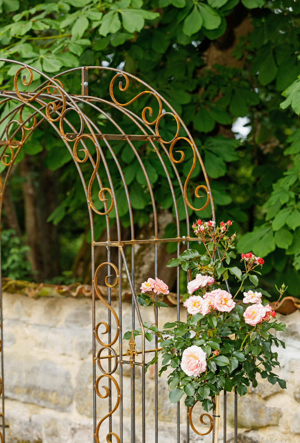 Rosenbogen Calabria aus Metall in Rostoptik Detailansicht rechte Seite mit Rosen Rosenbogen Calabria aus Metall in Rostoptik Detailansicht rechte Seite mit Rosen