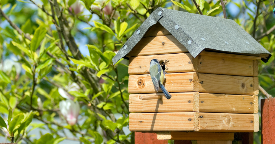 Vogelhaus selber bauen – einfache Ideen & sichere Befestigung