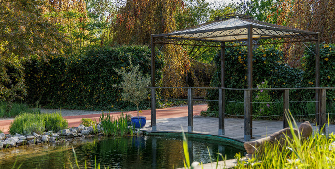 Garten-Trends 2025: 6 Garten-Ideen zum Nachmachen