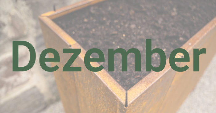Gartentipps für den Dezember