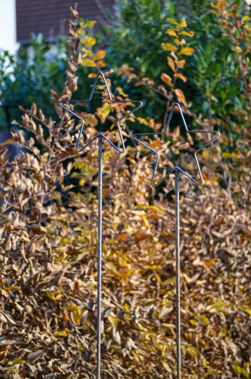 Rankstabset Tissano beide Rankstäbe vor braunen Laubbäumen