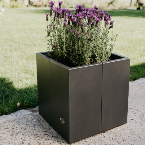 Pflanzkübel Vernazza 40x40x40 in Metall bepflanzt vor einem grünen Garten