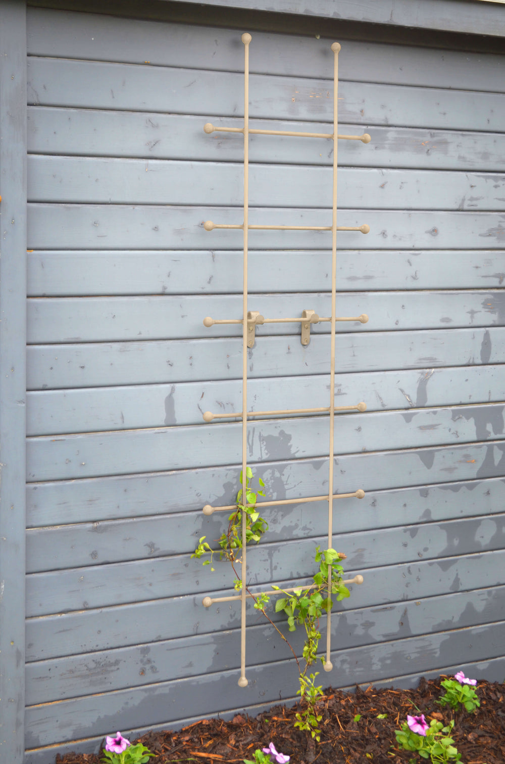 Rankgitter Tarent 50 x 170 cm